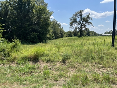Approximately 24 Acres of Land in Canton, TX – Martin's Mill ISD - image 11