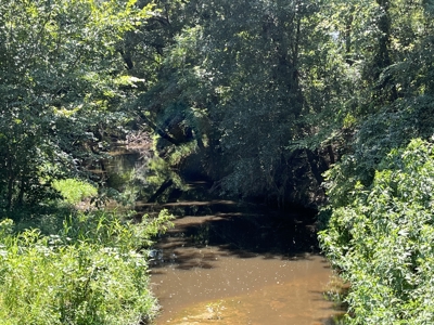 Approximately 24 Acres of Land in Canton, TX – Martin's Mill ISD - image 8