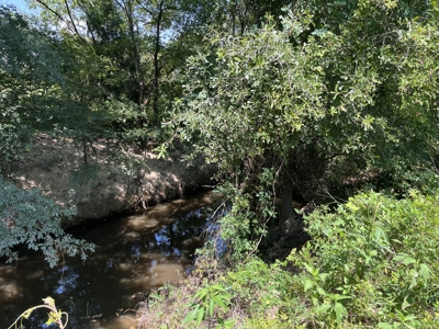 Approximately 24 Acres of Land in Canton, TX – Martin's Mill ISD - image 23