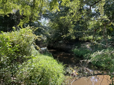 Approximately 24 Acres of Land in Canton, TX – Martin's Mill ISD - image 16