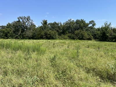 Approximately 24 Acres of Land in Canton, TX – Martin's Mill ISD - image 30