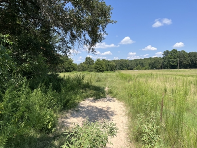 Approximately 24 Acres of Land in Canton, TX – Martin's Mill ISD - image 19