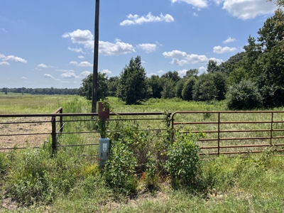 Approximately 24 Acres of Land in Canton, TX – Martin's Mill ISD - image 13