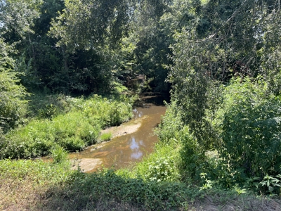 Approximately 24 Acres of Land in Canton, TX – Martin's Mill ISD - image 7