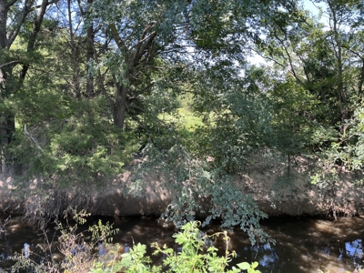 Approximately 24 Acres of Land in Canton, TX – Martin's Mill ISD - image 21