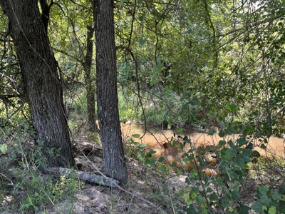 Approximately 24 Acres of Land in Canton, TX – Martin's Mill ISD - image 15