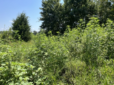 Approximately 24 Acres of Land in Canton, TX – Martin's Mill ISD - image 26