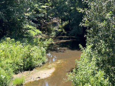Approximately 24 Acres of Land in Canton, TX – Martin's Mill ISD - image 6