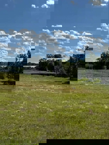 Approximately 24 Acres of Land in Canton, TX – Martin's Mill ISD - image 4