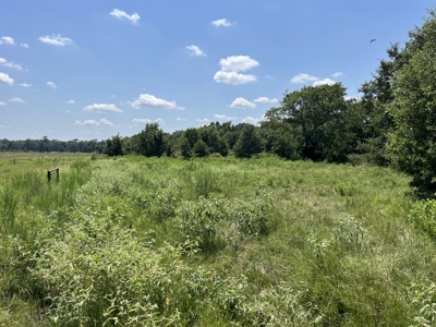Approximately 24 Acres of Land in Canton, TX – Martin's Mill ISD - image 18