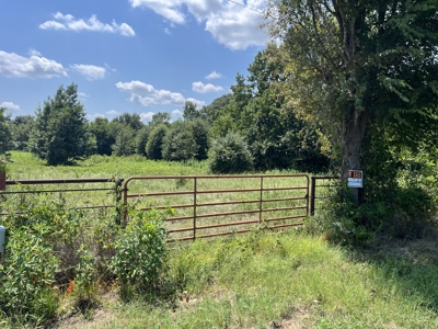 Approximately 24 Acres of Land in Canton, TX – Martin's Mill ISD - image 14