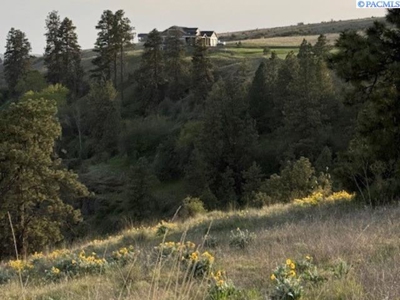 12 Acres in Colfax, Washington with a VIEW! - image 2
