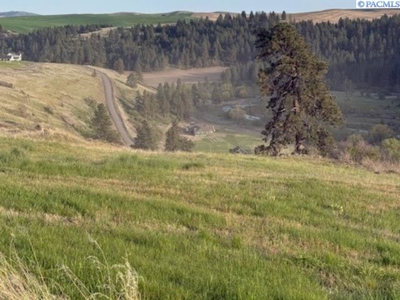 12 Acres in Colfax, Washington with a VIEW! - image 3