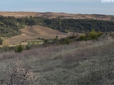 12 Acres in Colfax, Washington with a VIEW! - image 7