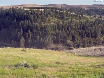 12 Acres in Colfax, Washington with a VIEW! - image 5