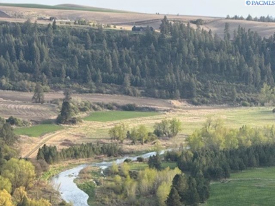 12 Acres in Colfax, Washington with a VIEW! - image 4