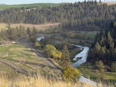 12 Acres in Colfax, Washington with a VIEW! - image 8