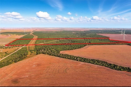 260± Acres Hunting Land for Sale | Mathis, TX Wildlife Ranch - image 3