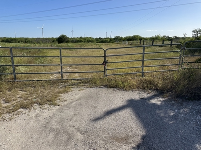 260± Acres Hunting Land for Sale | Mathis, TX Wildlife Ranch - image 9