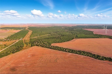 260± Acres Hunting Land for Sale | Mathis, TX Wildlife Ranch - image 7