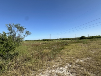 260± Acres Hunting Land for Sale | Mathis, TX Wildlife Ranch - image 11