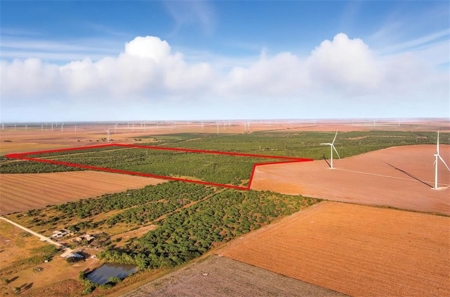 260± Acres Hunting Land for Sale | Mathis, TX Wildlife Ranch - image 2