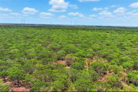 260± Acres Hunting Land for Sale | Mathis, TX Wildlife Ranch - image 8