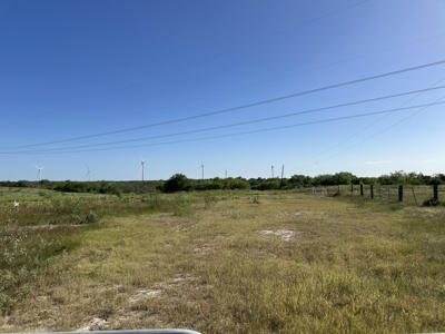 260± Acres Hunting Land for Sale | Mathis, TX Wildlife Ranch - image 12
