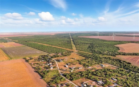 260± Acres Hunting Land for Sale | Mathis, TX Wildlife Ranch - image 5
