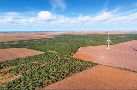 260± Acres Hunting Land for Sale | Mathis, TX Wildlife Ranch - image 6