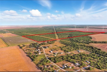 260± Acres Hunting Land for Sale | Mathis, TX Wildlife Ranch - image 4