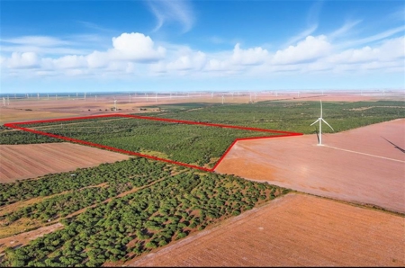260± Acres Hunting Land for Sale | Mathis, TX Wildlife Ranch - image 1