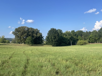 Warren Co. Land & Home Auction with Development Opportunities - image 2