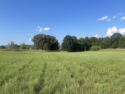 Warren Co. Land & Home Auction with Development Opportunities - image 4