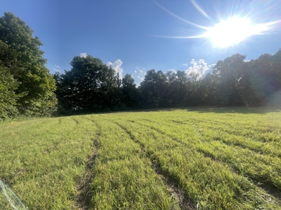 Warren Co. Land & Home Auction with Development Opportunities - image 5