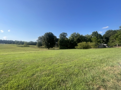Warren Co. Land & Home Auction with Development Opportunities - image 3
