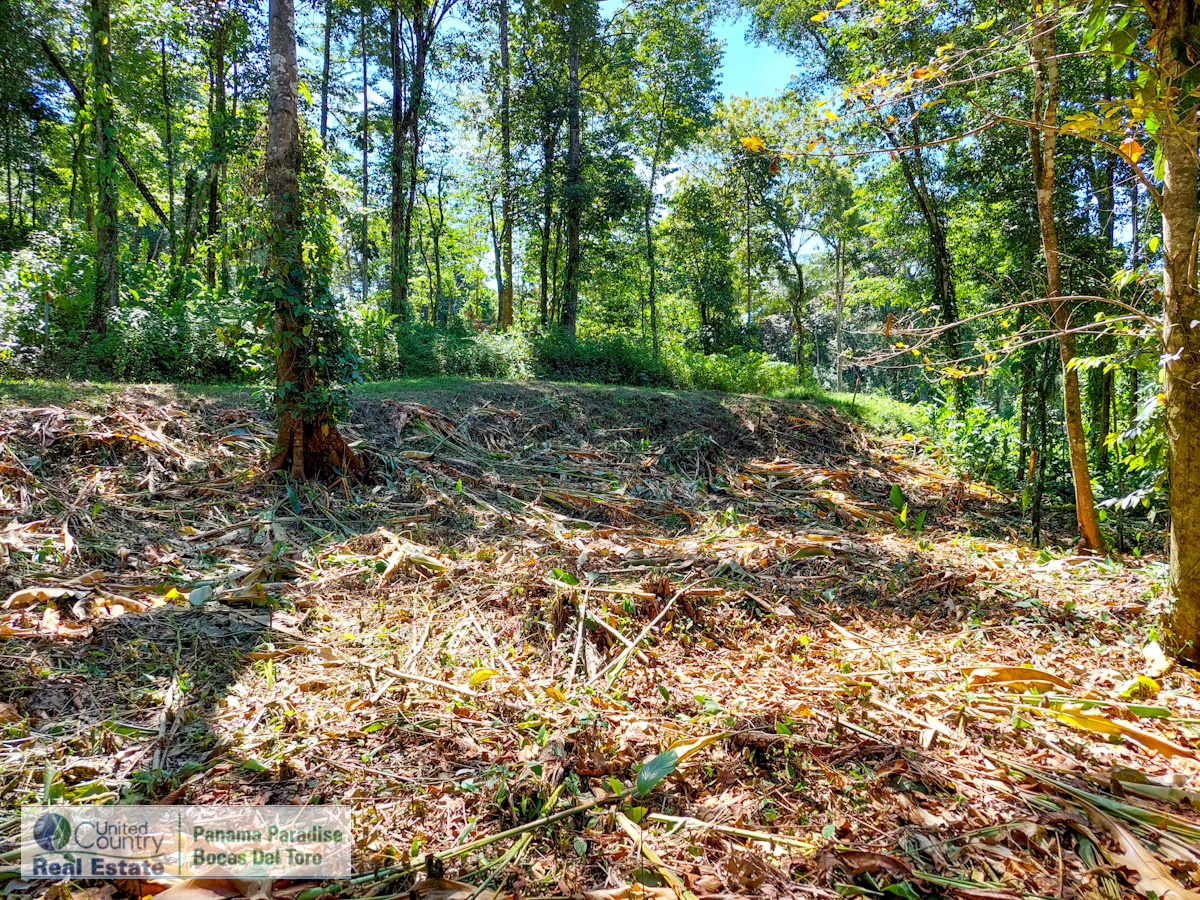 1,120 m² Lot with Road & Water Access — Isla Colón - 7