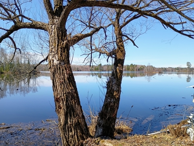 Lake Home for Sale on Musser Lake in Phillips, Wisconsin - image 45
