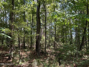 Listing 249