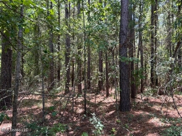 Listing 249