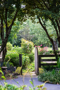 Your Private 5-Acre Oasis in Tennessee’s Most Scenic Countryside - image 34