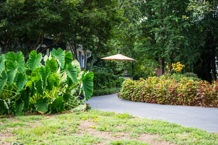 Your Private 5-Acre Oasis in Tennessee’s Most Scenic Countryside - image 35
