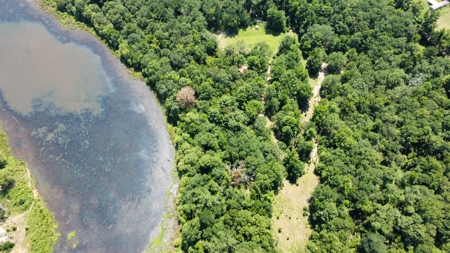 East TX Recreational Hunting Land for Sale near Tyler TX Smith Co - image 12