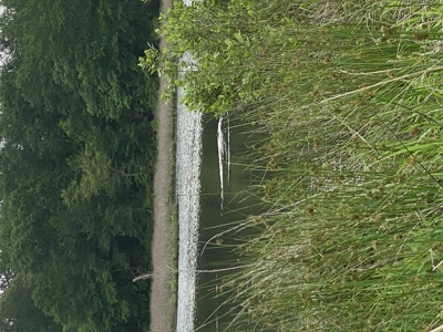 East TX Recreational Hunting Land for Sale near Tyler TX Smith Co - image 22