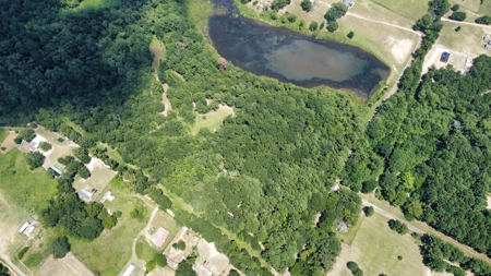 East TX Recreational Hunting Land for Sale near Tyler TX Smith Co - image 6