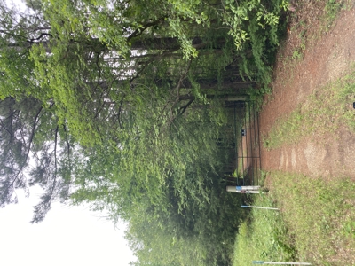 East TX Recreational Hunting Land for Sale near Tyler TX Smith Co - image 19