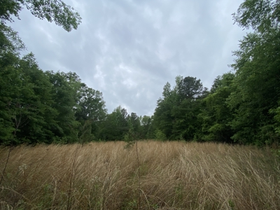 East TX Recreational Hunting Land for Sale near Tyler TX Smith Co - image 21