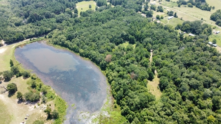 East TX Recreational Hunting Land for Sale near Tyler TX Smith Co - image 10