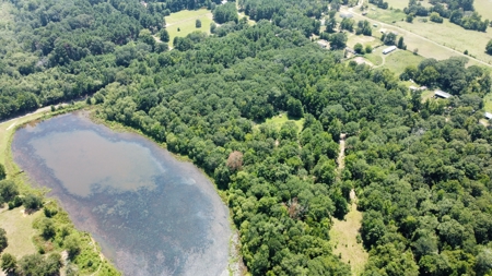 East TX Recreational Hunting Land for Sale near Tyler TX Smith Co - image 11