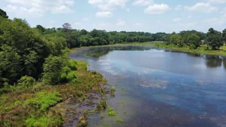 East TX Recreational Hunting Land for Sale near Tyler TX Smith Co - image 1